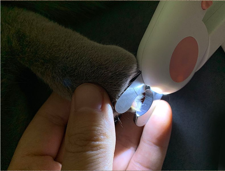 Pet Nail Scissors LED Cat/Dog Nail Clipper Trimmer